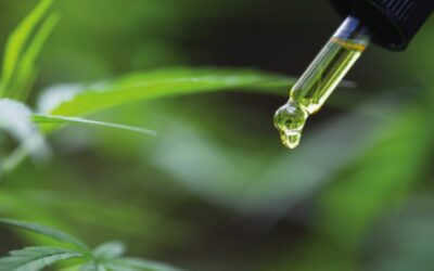 FDA Warns 15 Companies for Illegally Selling Products Containing CBD